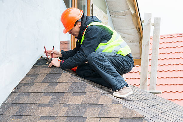 Best Roof Gutter Cleaning  in Morrow, OH